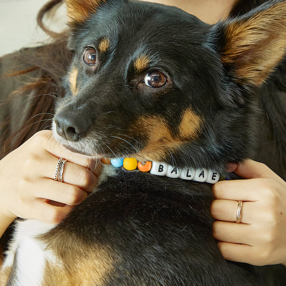 Custom Name Colorful Pet Beaded Collars – Personalized Gift for Pet Lovers Perfect for International Dog Day MadeMine