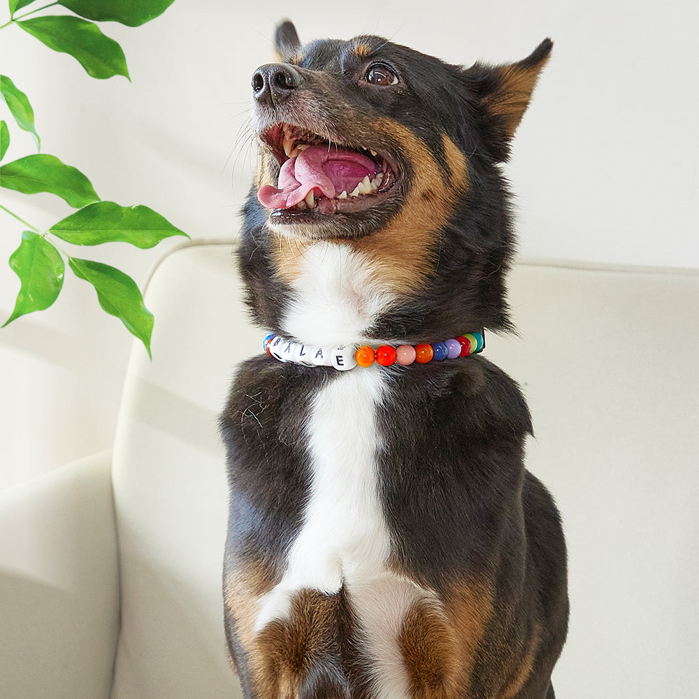 Custom Name Colorful Pet Beaded Collars – Personalized Gift for Pet Lovers Perfect for International Dog Day MadeMine