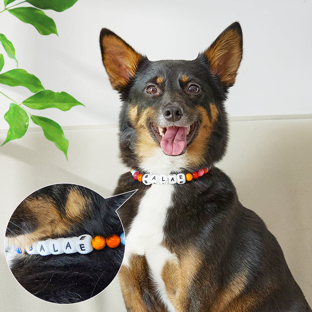 Custom Name Colorful Pet Beaded Collars – Personalized Gift for Pet Lovers Perfect for International Dog Day MadeMine
