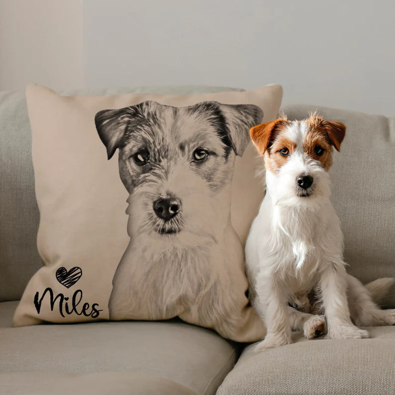 Custom Personalized Cat/Dog Pillow
